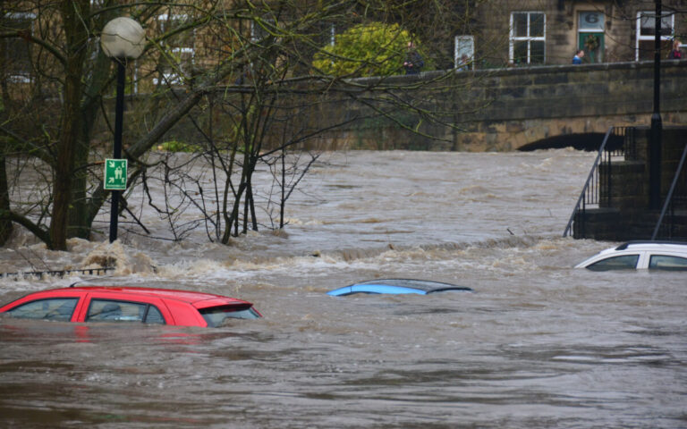 ulewy-woda-opadowa-deszcz-zielen-miejska-2